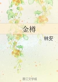 1244626